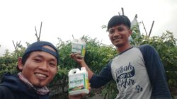 Rumah hayati ciptakan pupuk bahan dasar eceng gondok